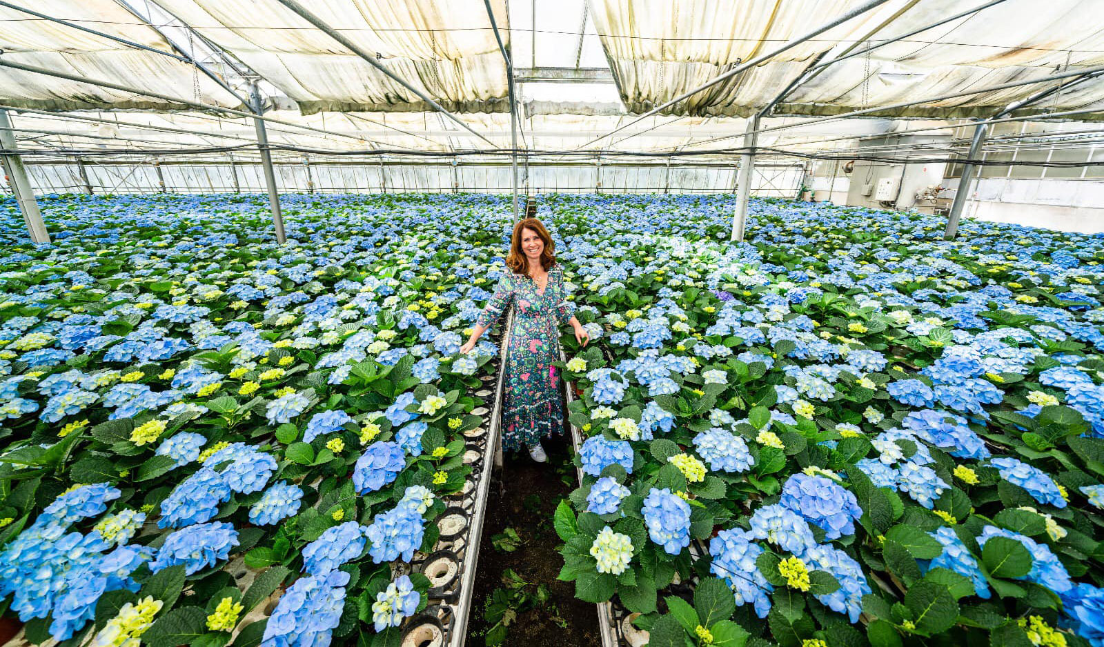 La rivista portoghese Jardins parla di Floramiata