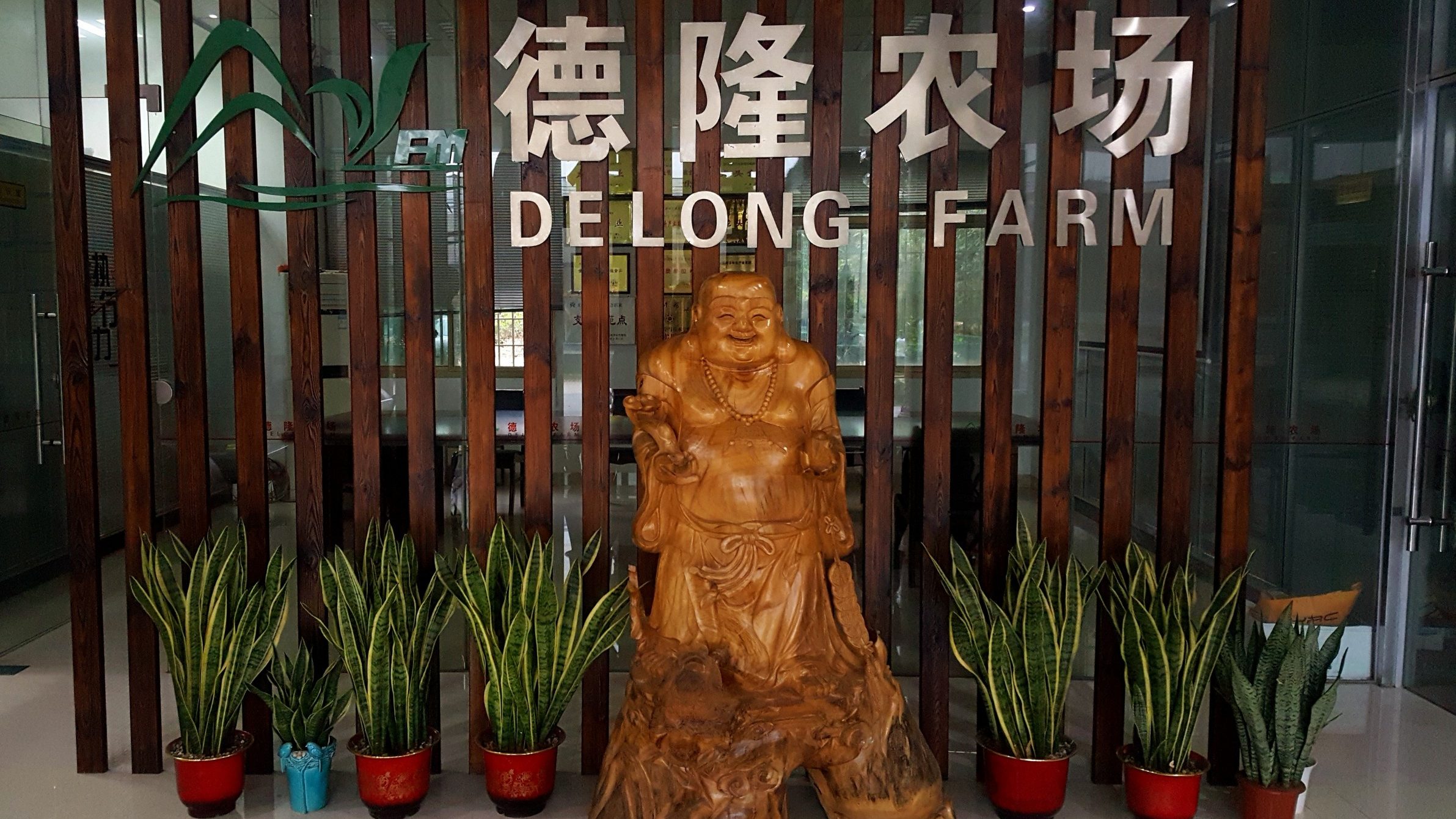 Floramiata in Cina per apprendere nuovi metodi di coltivazione del Ficus Bonsai