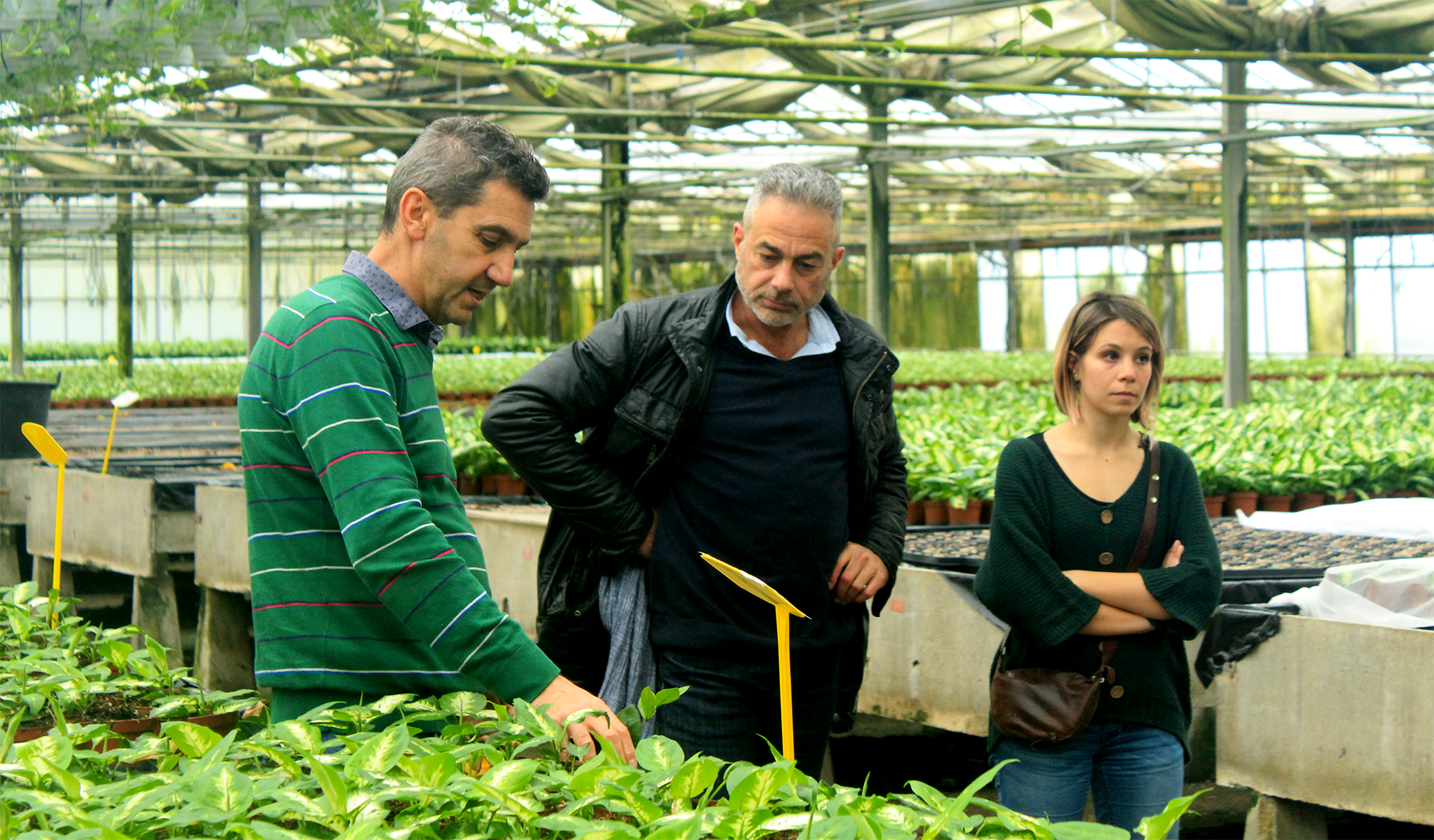 Visita alle serre dell’ordine dei dottori agronomi e forestali della provincia di Siena