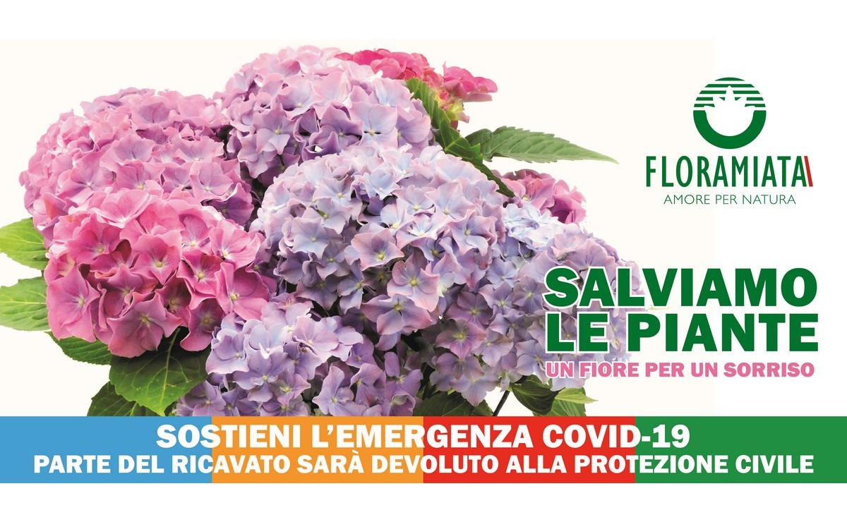 Da oggi parte la campagna “Salviamo le Piante”