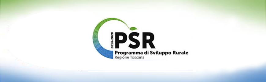 ATTIVITÀ DI ANIMAZIONE E INFORMAZIONE DEI PIF